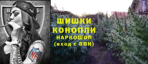 винт Алзамай