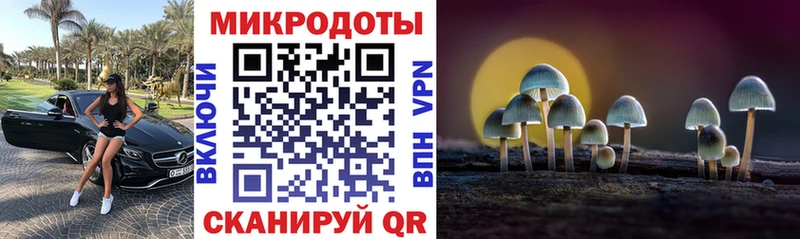 Псилоцибиновые грибы MAGIC MUSHROOMS Камешково